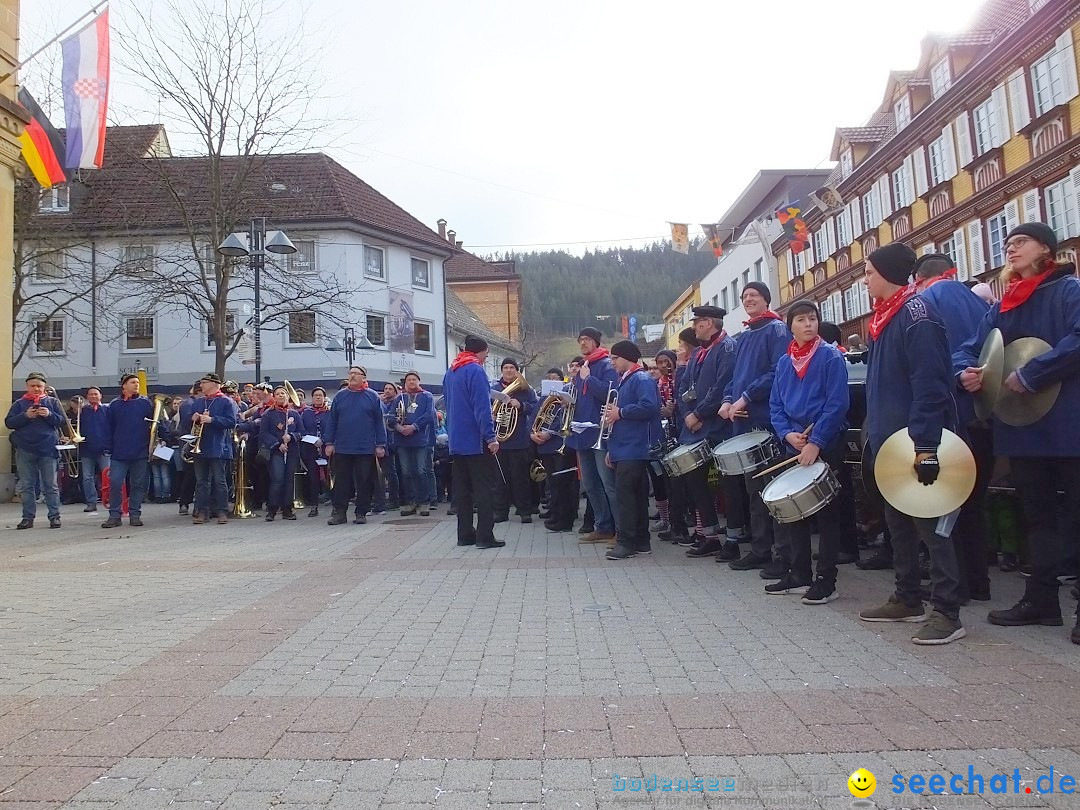 HANSELSPRUNG: Fasnet im Schwarzwald - Schramberg, 03.03.2019