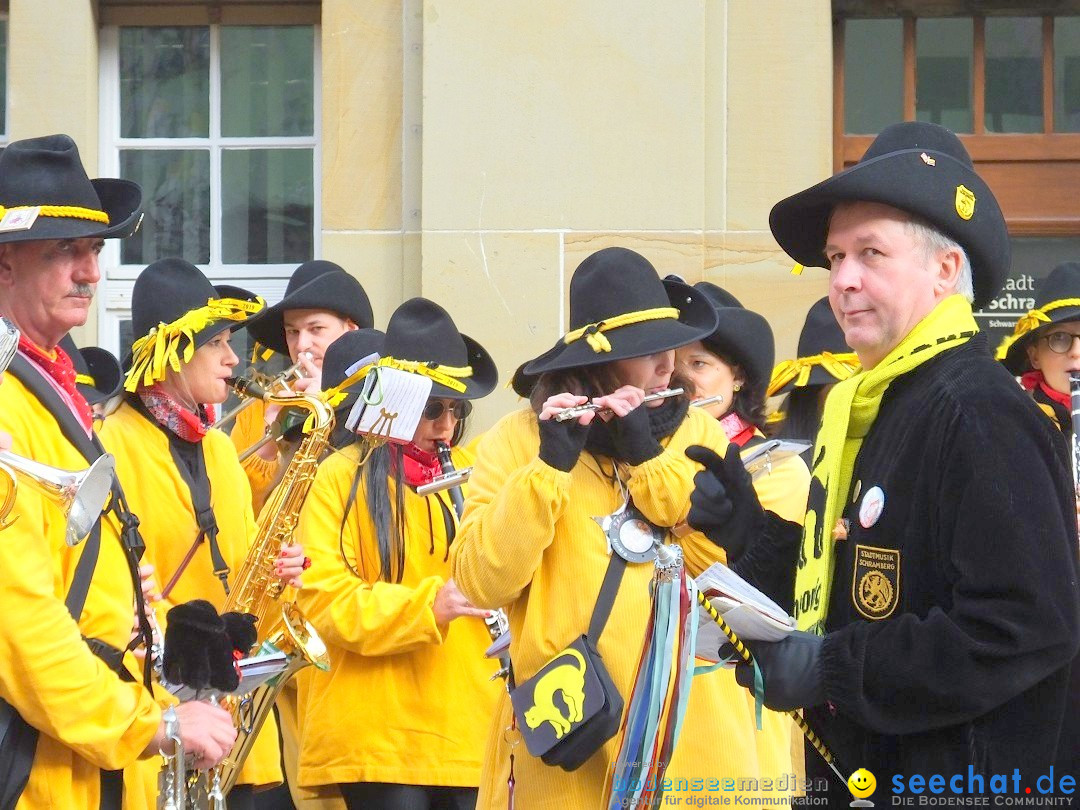 HANSELSPRUNG: Fasnet im Schwarzwald - Schramberg, 03.03.2019