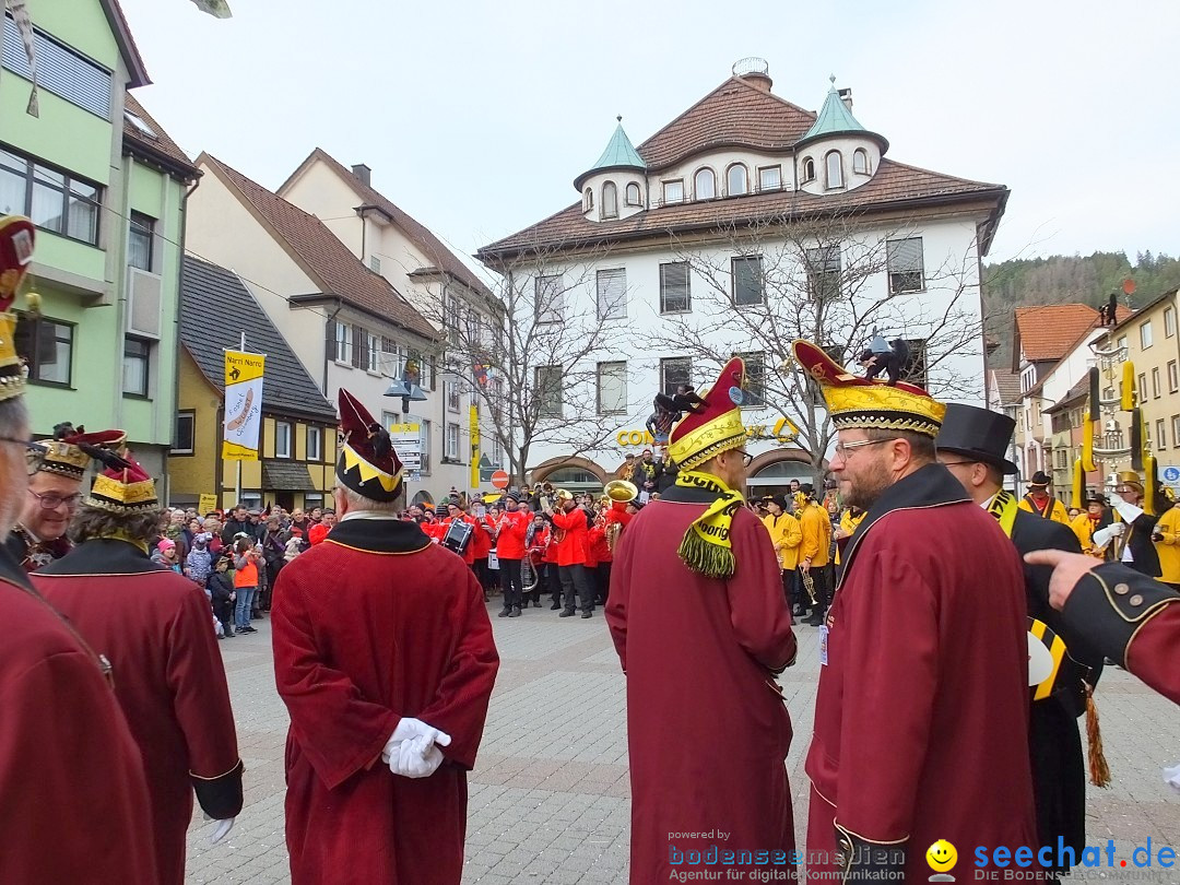 HANSELSPRUNG: Fasnet im Schwarzwald - Schramberg, 03.03.2019