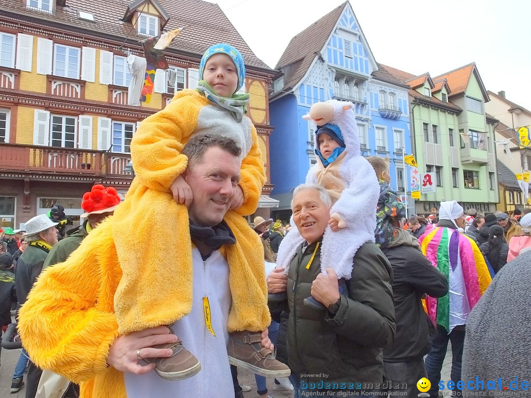 HANSELSPRUNG: Fasnet im Schwarzwald - Schramberg, 03.03.2019