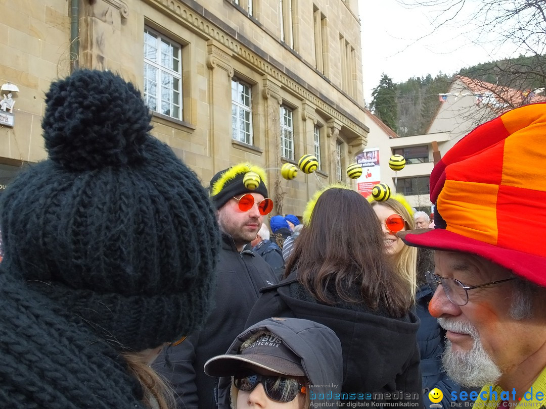 HANSELSPRUNG: Fasnet im Schwarzwald - Schramberg, 03.03.2019