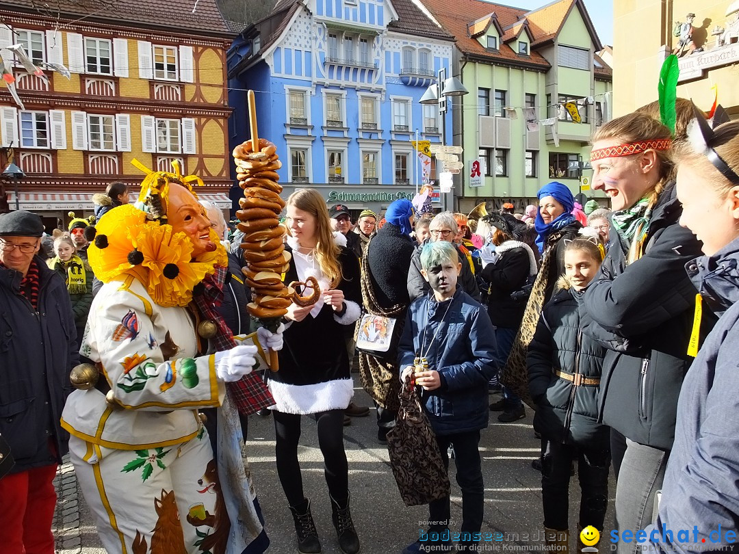 HANSELSPRUNG: Fasnet im Schwarzwald - Schramberg, 03.03.2019