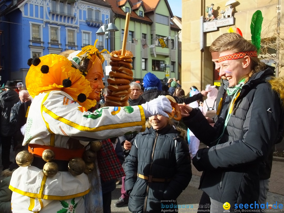 HANSELSPRUNG: Fasnet im Schwarzwald - Schramberg, 03.03.2019