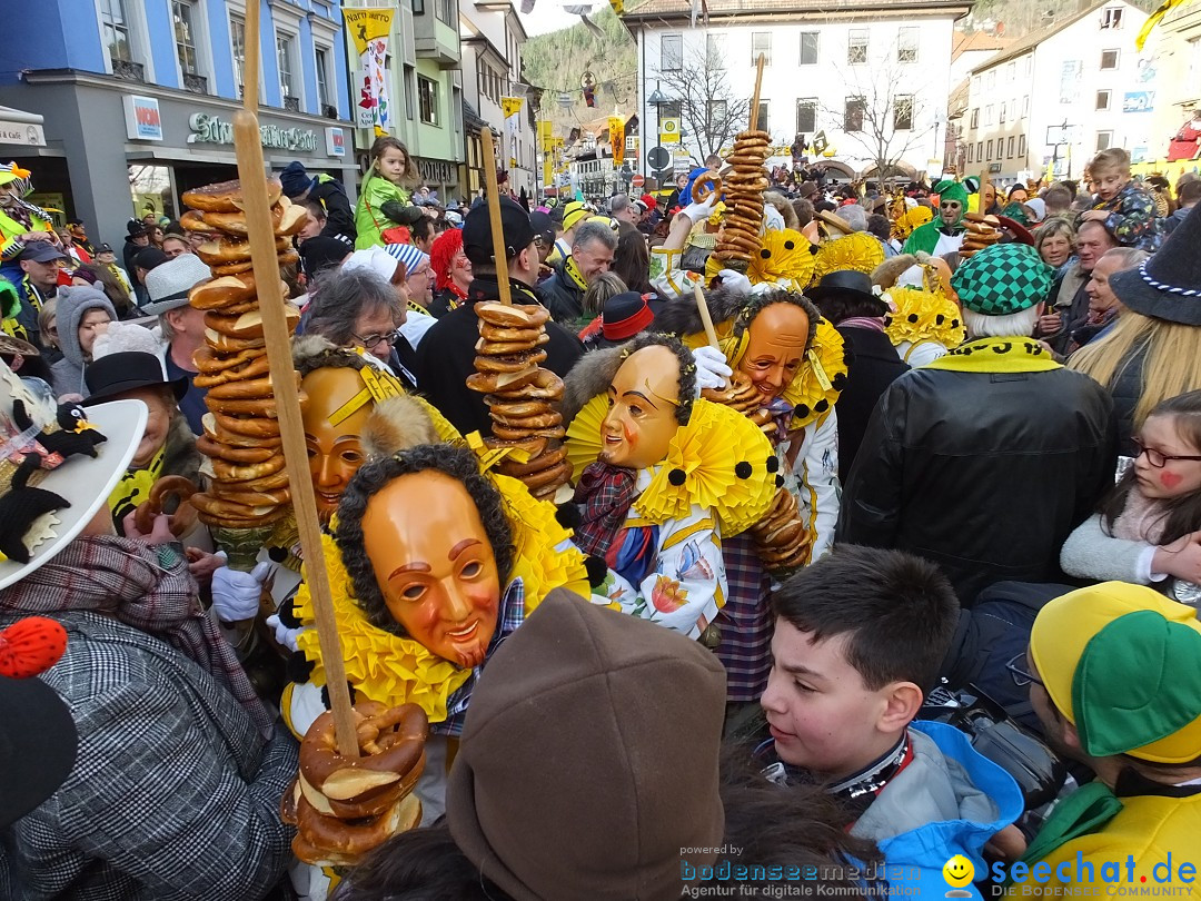 HANSELSPRUNG: Fasnet im Schwarzwald - Schramberg, 03.03.2019