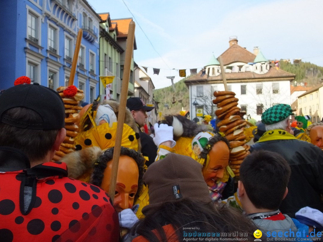 HANSELSPRUNG: Fasnet im Schwarzwald - Schramberg, 03.03.2019