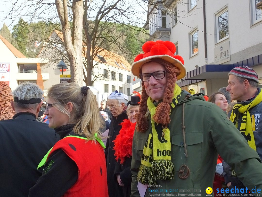 HANSELSPRUNG: Fasnet im Schwarzwald - Schramberg, 03.03.2019