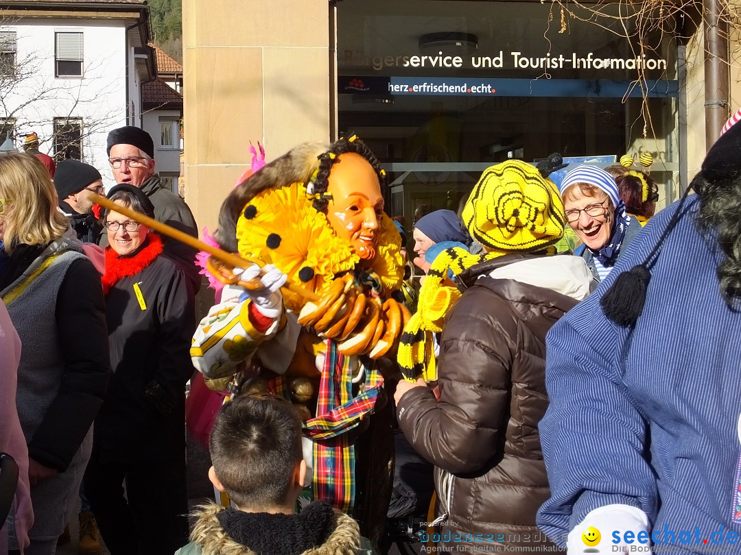 HANSELSPRUNG: Fasnet im Schwarzwald - Schramberg, 03.03.2019