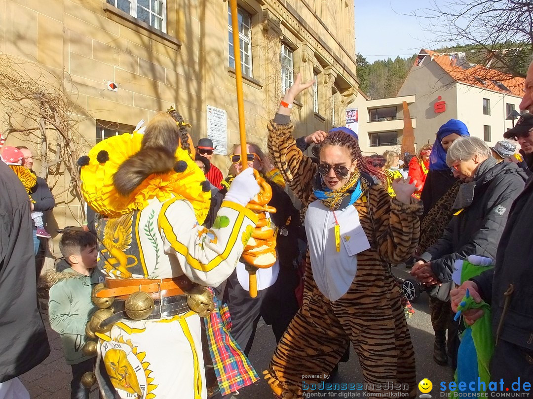 HANSELSPRUNG: Fasnet im Schwarzwald - Schramberg, 03.03.2019