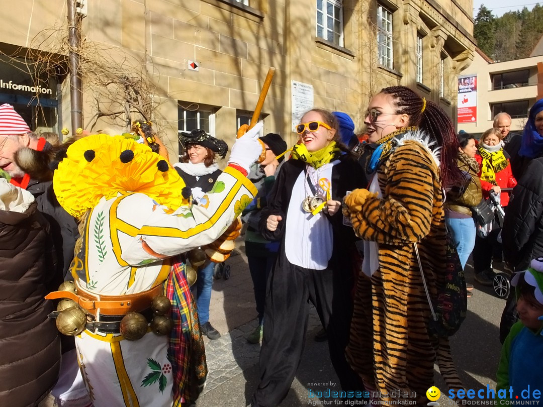 HANSELSPRUNG: Fasnet im Schwarzwald - Schramberg, 03.03.2019