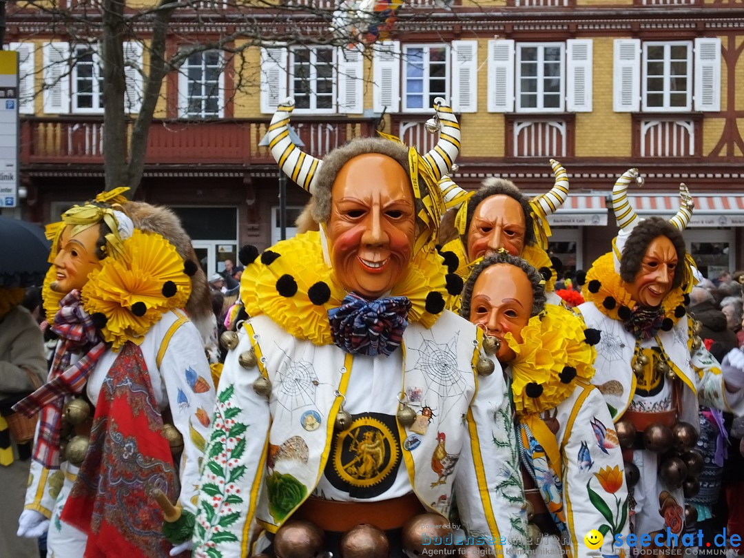 HANSELSPRUNG: Fasnet im Schwarzwald - Schramberg, 03.03.2019