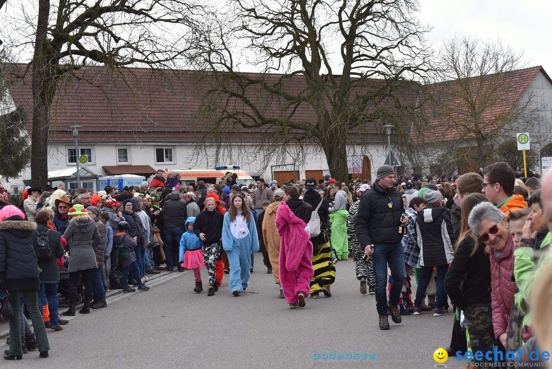 Fasnetsumzug: Zell - Rot an der Rot, 02.03.2019