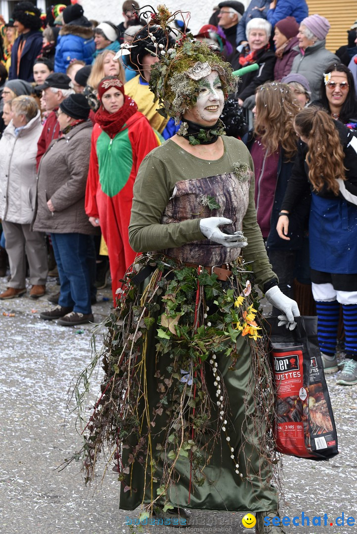 Fasnetsumzug: Zell - Rot an der Rot, 02.03.2019