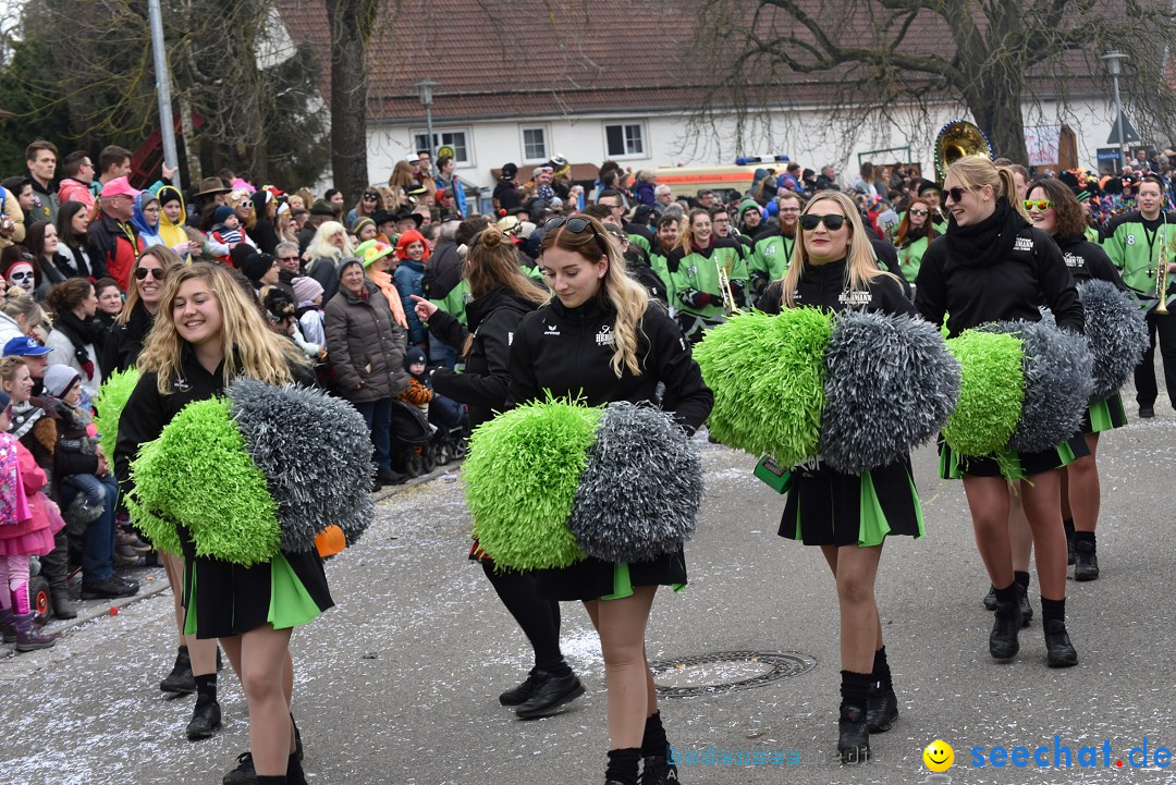 Fasnetsumzug: Zell - Rot an der Rot, 02.03.2019