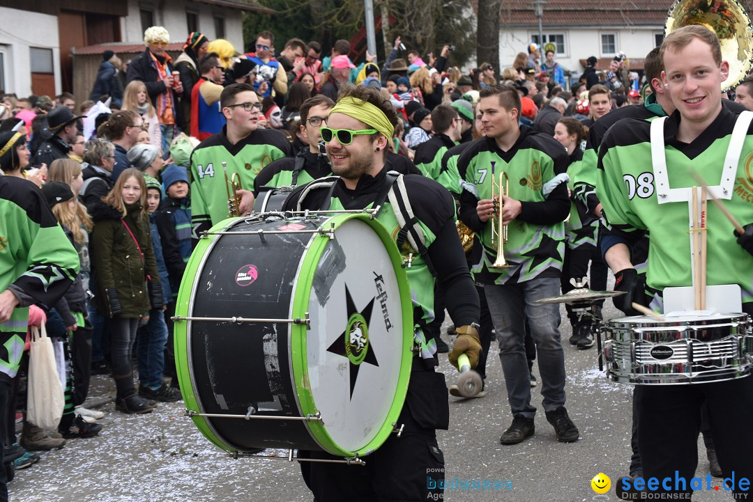 Fasnetsumzug: Zell - Rot an der Rot, 02.03.2019