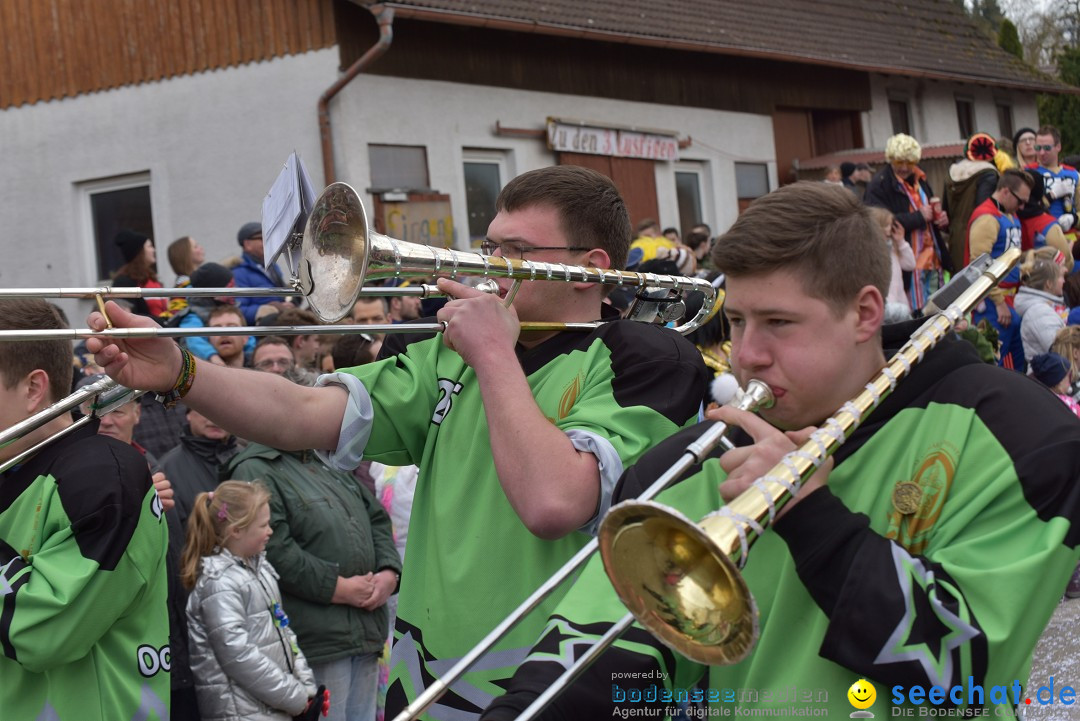 Fasnetsumzug: Zell - Rot an der Rot, 02.03.2019