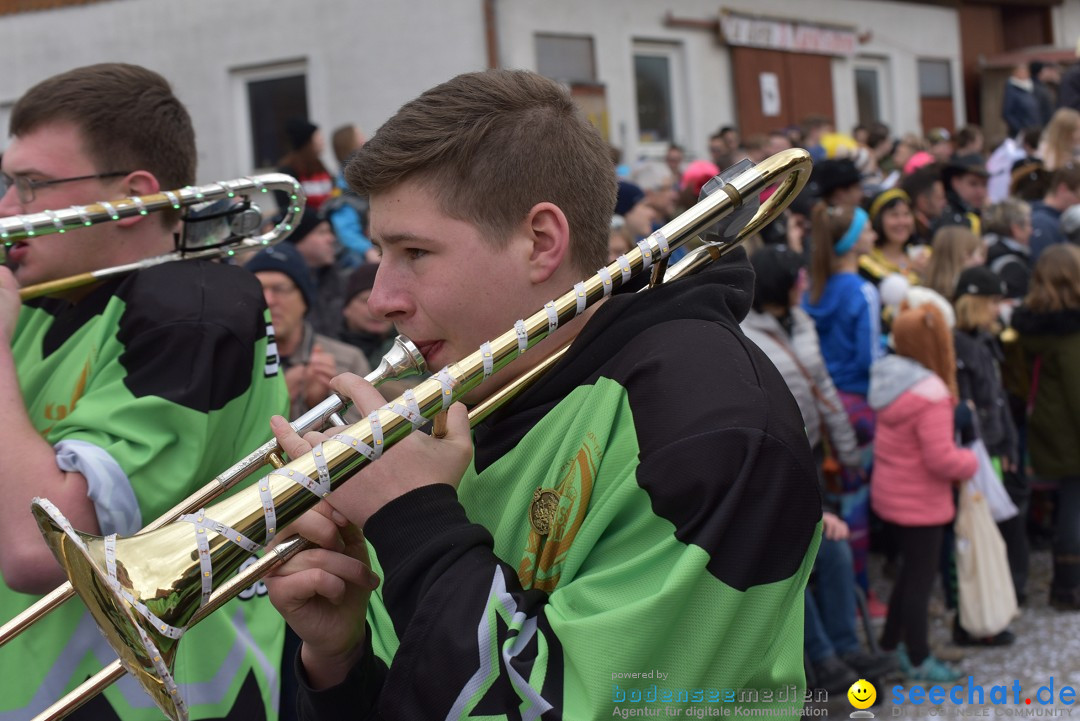 Fasnetsumzug: Zell - Rot an der Rot, 02.03.2019