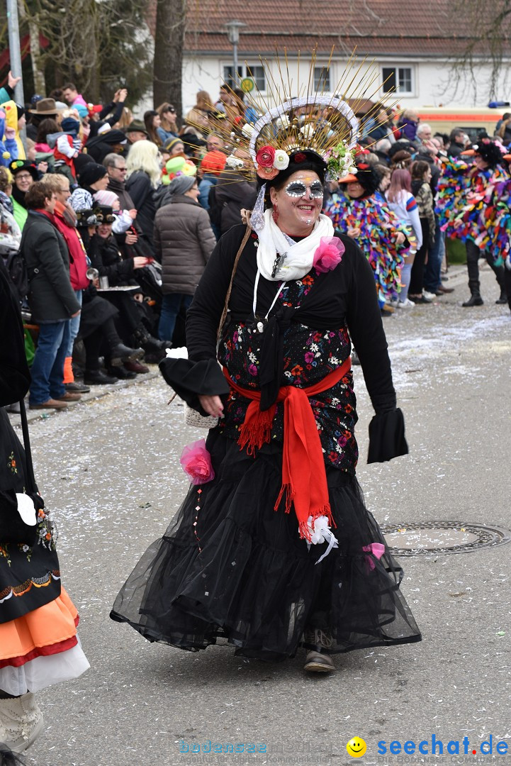 Fasnetsumzug: Zell - Rot an der Rot, 02.03.2019