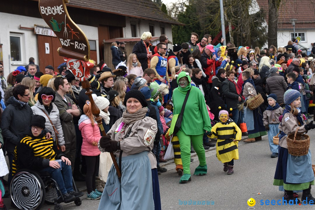 Fasnetsumzug: Zell - Rot an der Rot, 02.03.2019