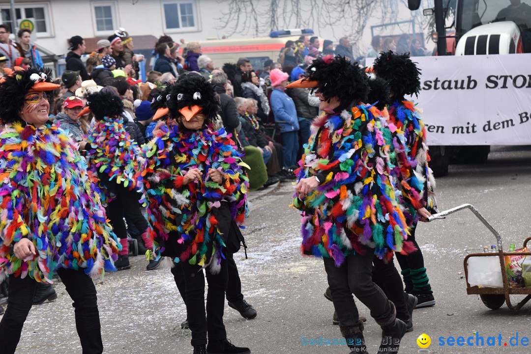 Fasnetsumzug: Zell - Rot an der Rot, 02.03.2019