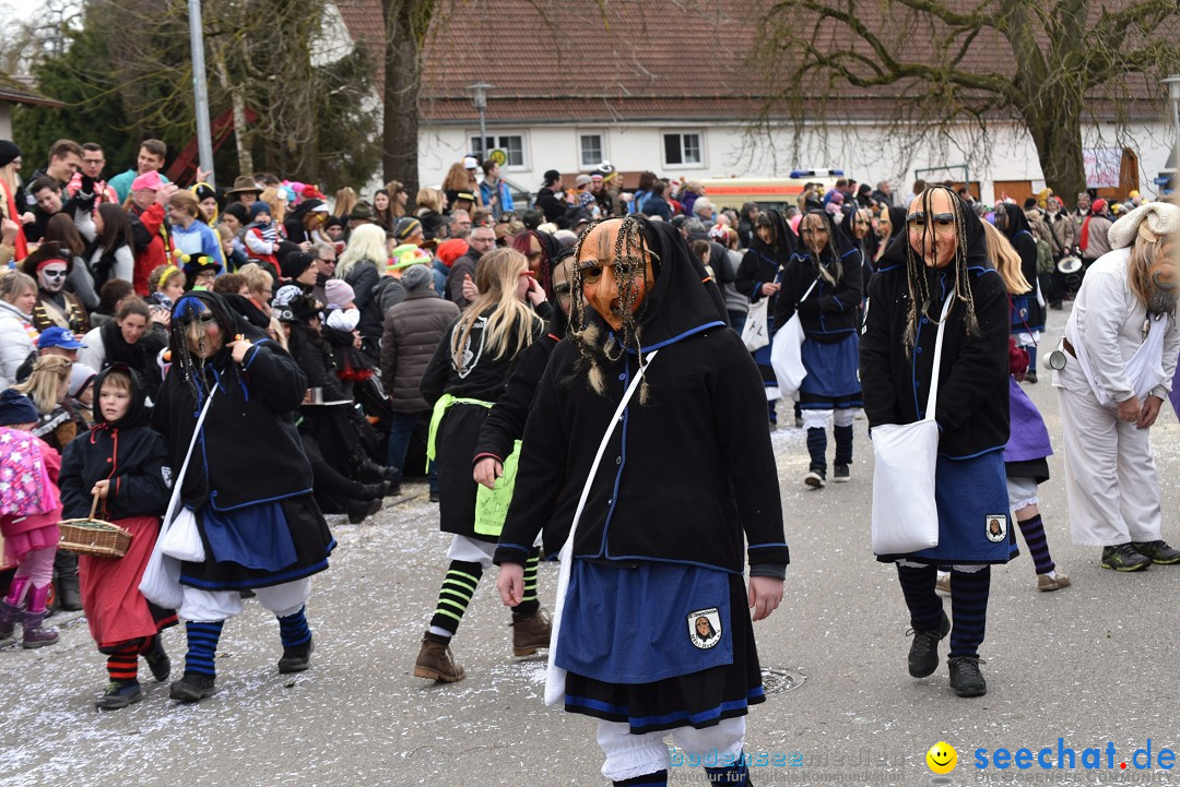 Fasnetsumzug: Zell - Rot an der Rot, 02.03.2019