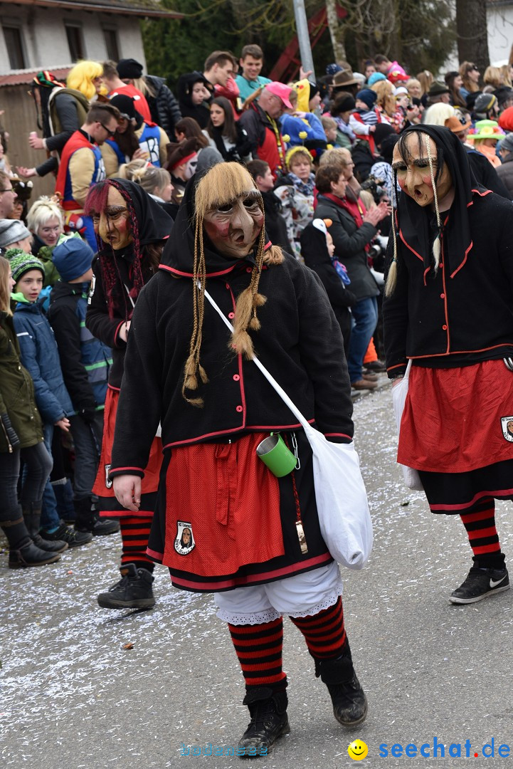 Fasnetsumzug: Zell - Rot an der Rot, 02.03.2019