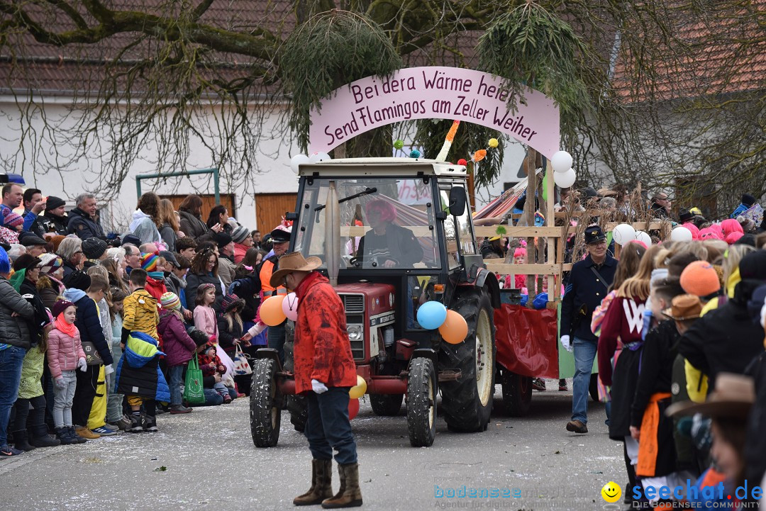 Fasnetsumzug: Zell - Rot an der Rot, 02.03.2019