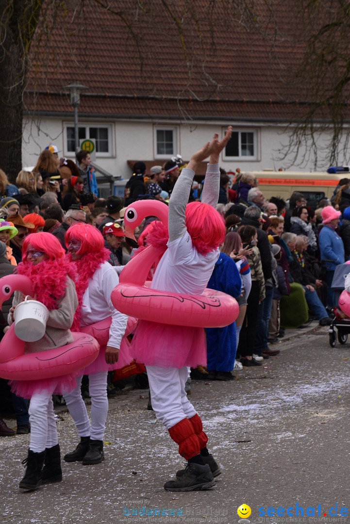 Fasnetsumzug: Zell - Rot an der Rot, 02.03.2019