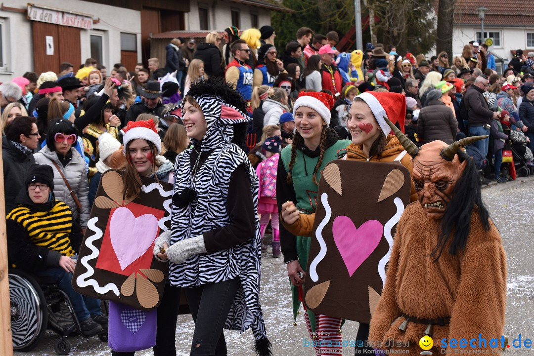 Fasnetsumzug: Zell - Rot an der Rot, 02.03.2019