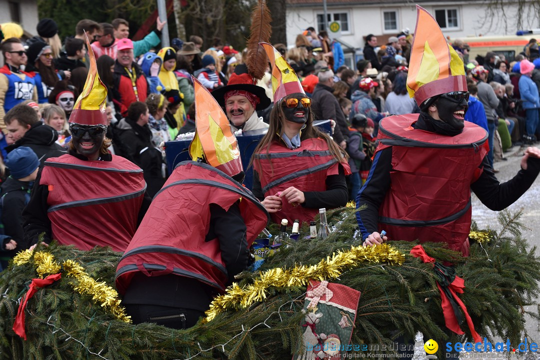 Fasnetsumzug: Zell - Rot an der Rot, 02.03.2019