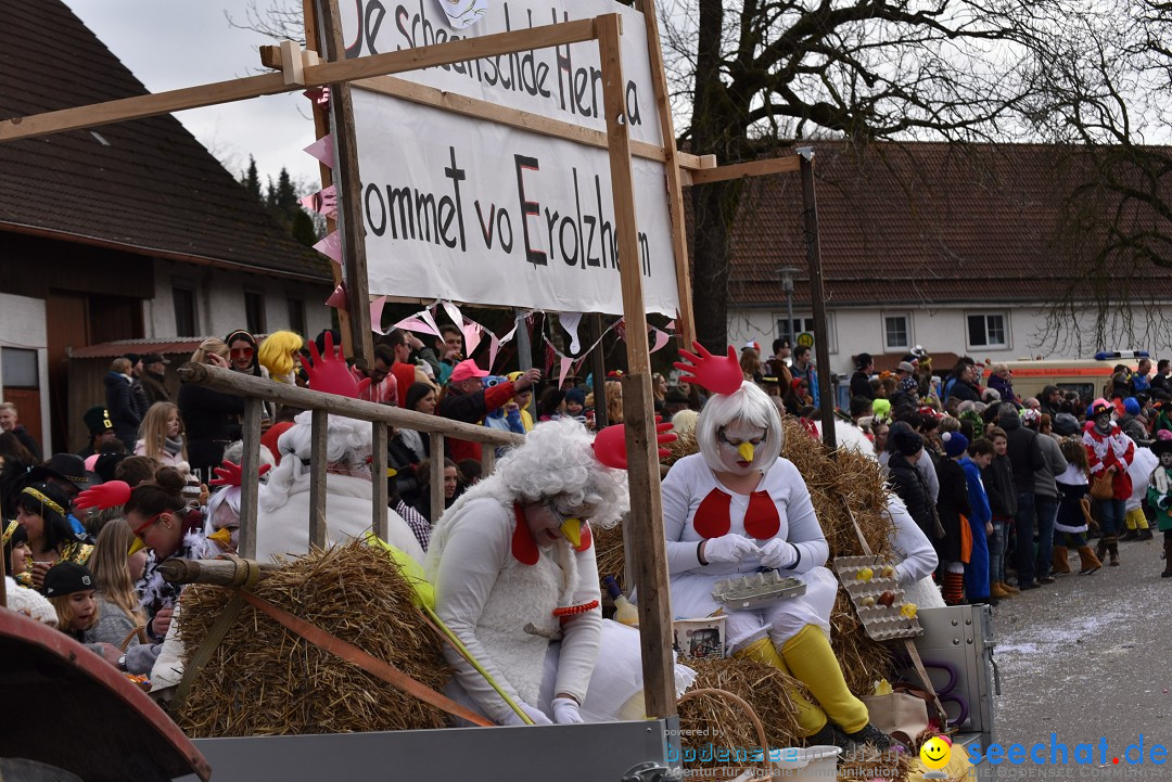 Fasnetsumzug: Zell - Rot an der Rot, 02.03.2019