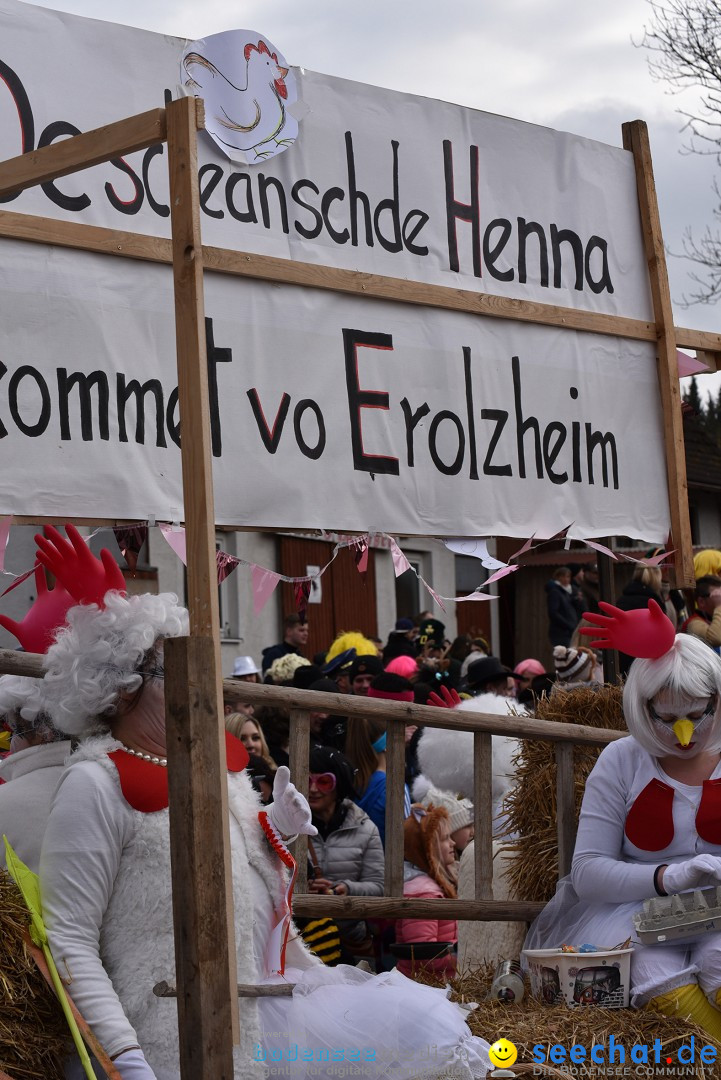 Fasnetsumzug: Zell - Rot an der Rot, 02.03.2019