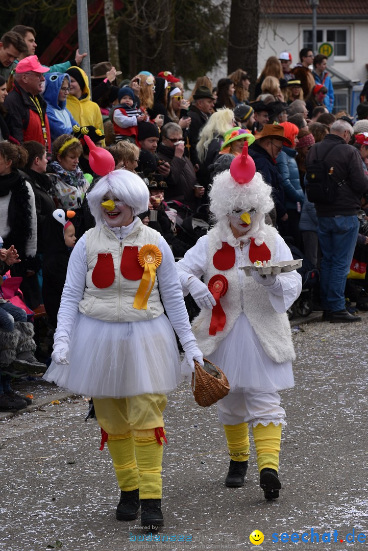 Fasnetsumzug: Zell - Rot an der Rot, 02.03.2019