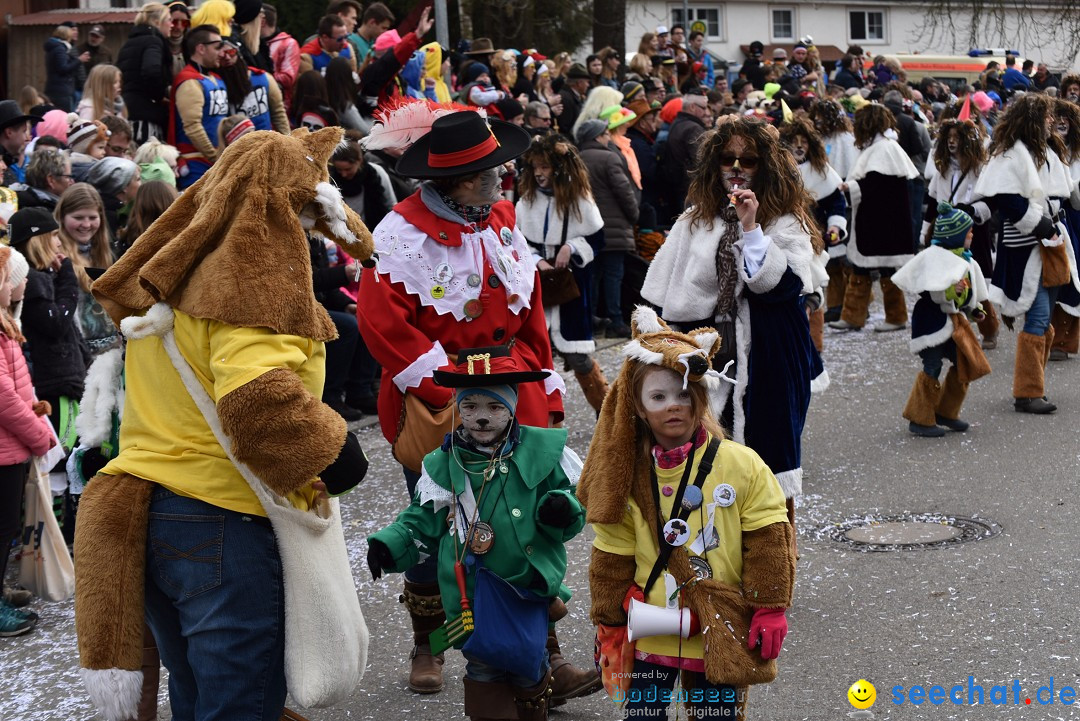 Fasnetsumzug: Zell - Rot an der Rot, 02.03.2019