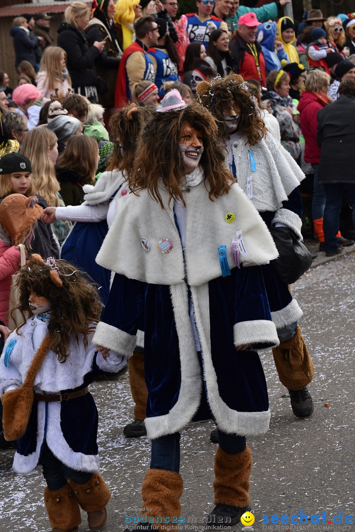 Fasnetsumzug: Zell - Rot an der Rot, 02.03.2019