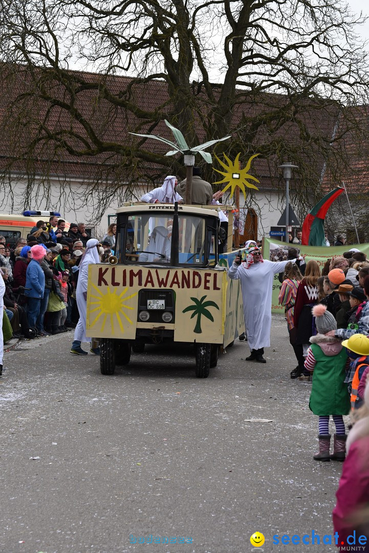 Fasnetsumzug: Zell - Rot an der Rot, 02.03.2019