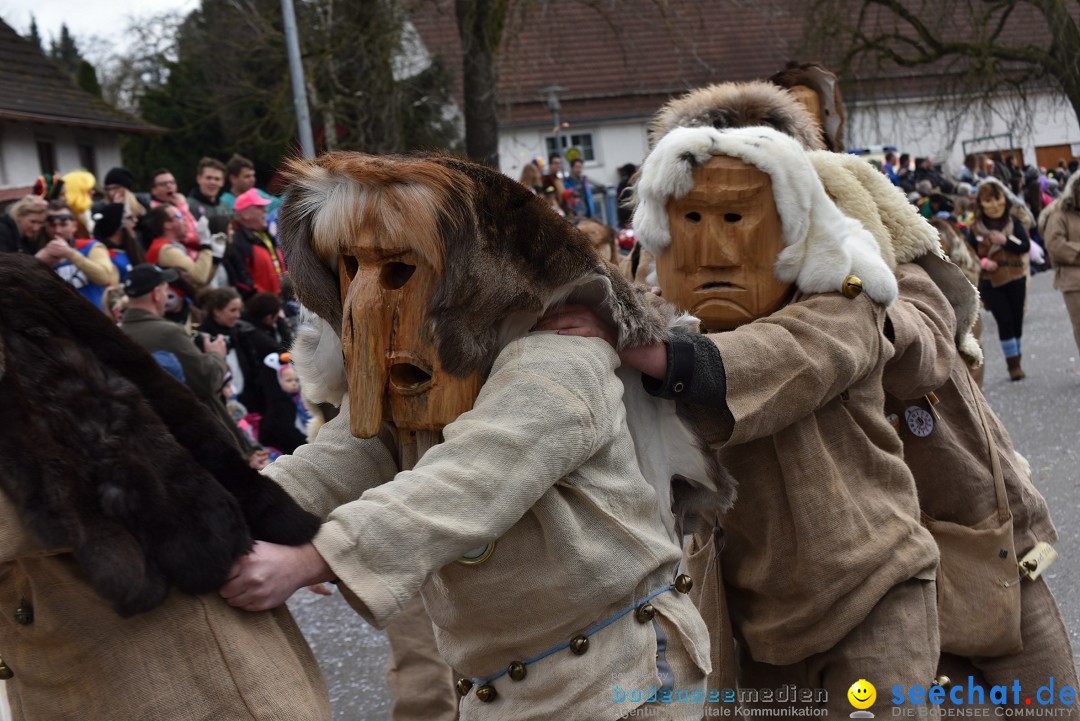 Fasnetsumzug: Zell - Rot an der Rot, 02.03.2019