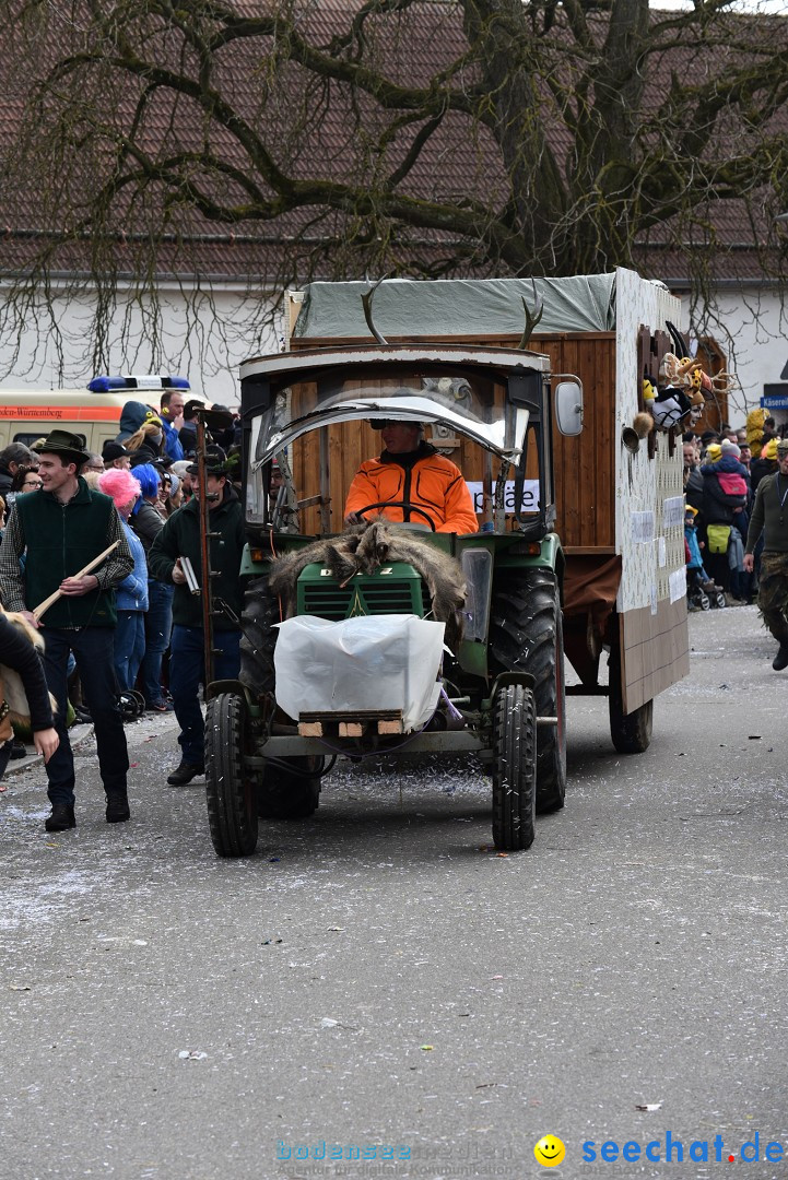 Fasnetsumzug: Zell - Rot an der Rot, 02.03.2019