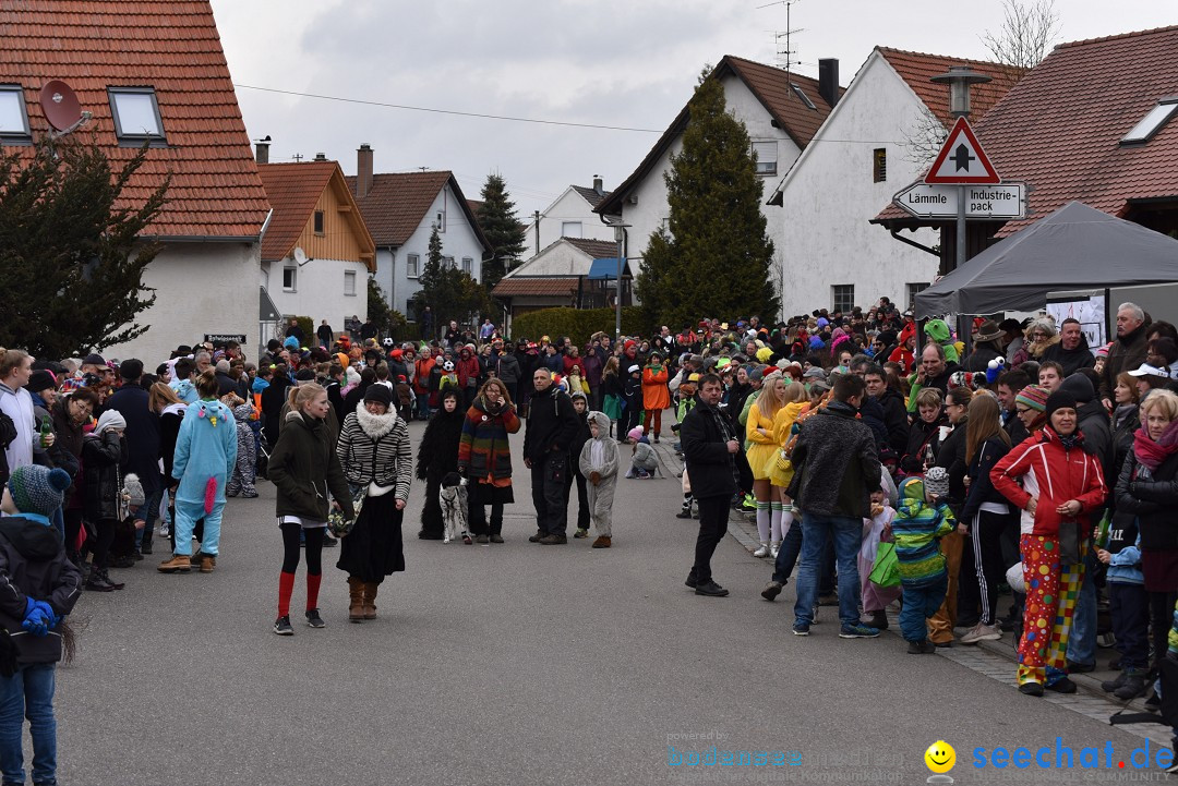 Fasnetsumzug: Zell - Rot an der Rot, 02.03.2019