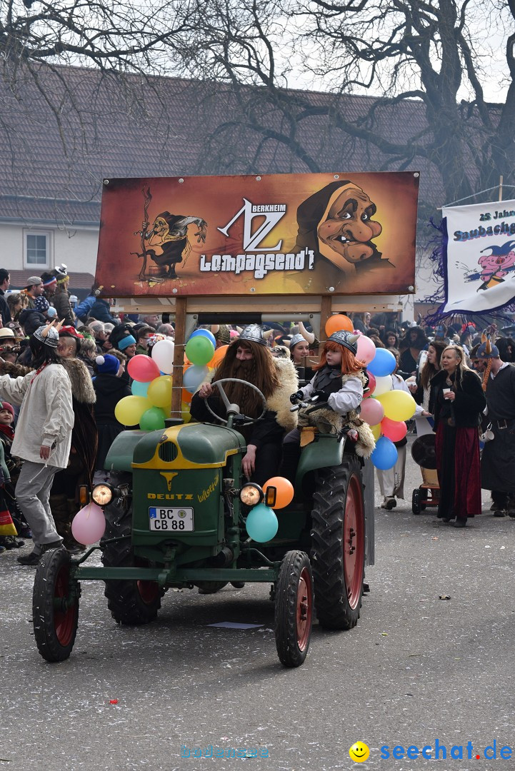 Fasnetsumzug: Zell - Rot an der Rot, 02.03.2019