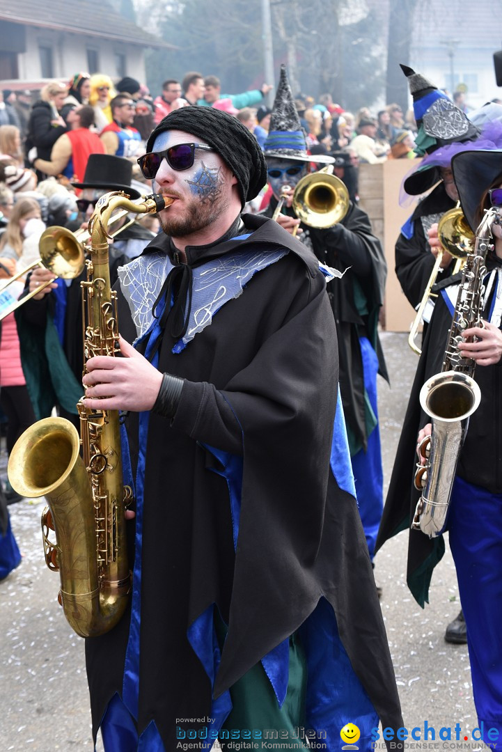 Fasnetsumzug: Zell - Rot an der Rot, 02.03.2019