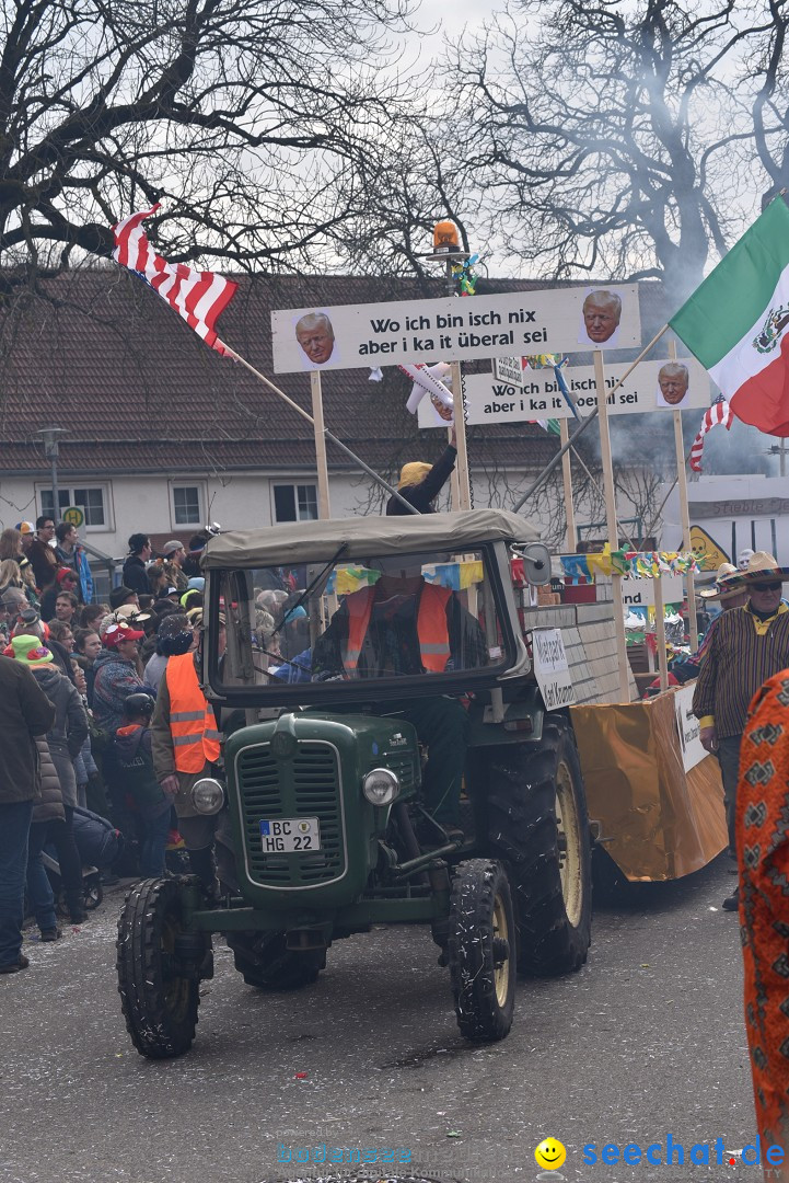 Fasnetsumzug: Zell - Rot an der Rot, 02.03.2019