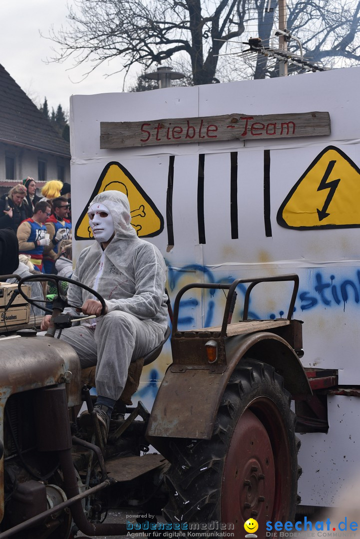 Fasnetsumzug: Zell - Rot an der Rot, 02.03.2019