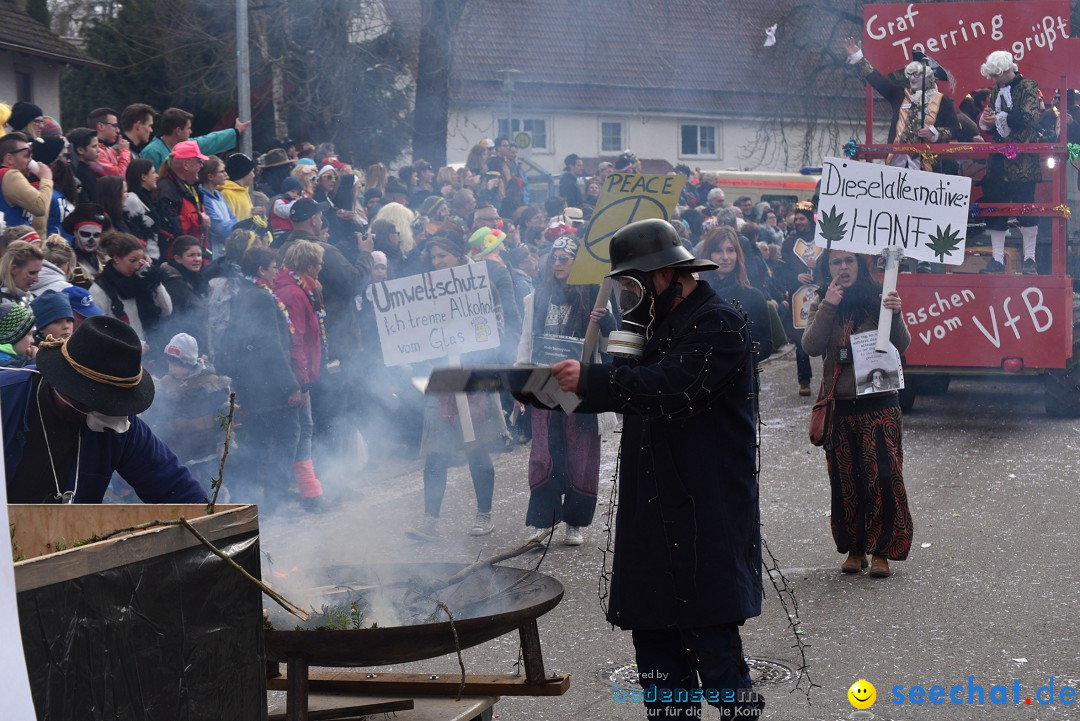 Fasnetsumzug: Zell - Rot an der Rot, 02.03.2019