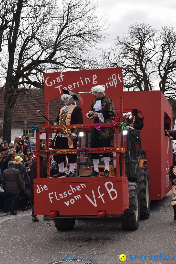 Fasnetsumzug: Zell - Rot an der Rot, 02.03.2019