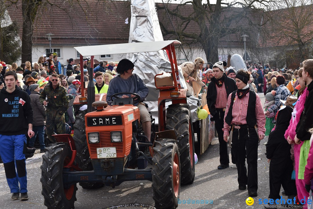 Fasnetsumzug: Zell - Rot an der Rot, 02.03.2019