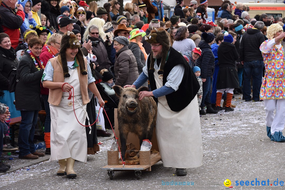 Fasnetsumzug: Zell - Rot an der Rot, 02.03.2019