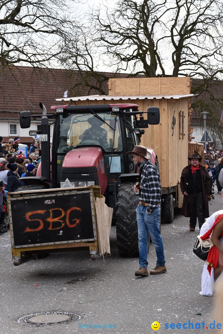 Fasnetsumzug: Zell - Rot an der Rot, 02.03.2019