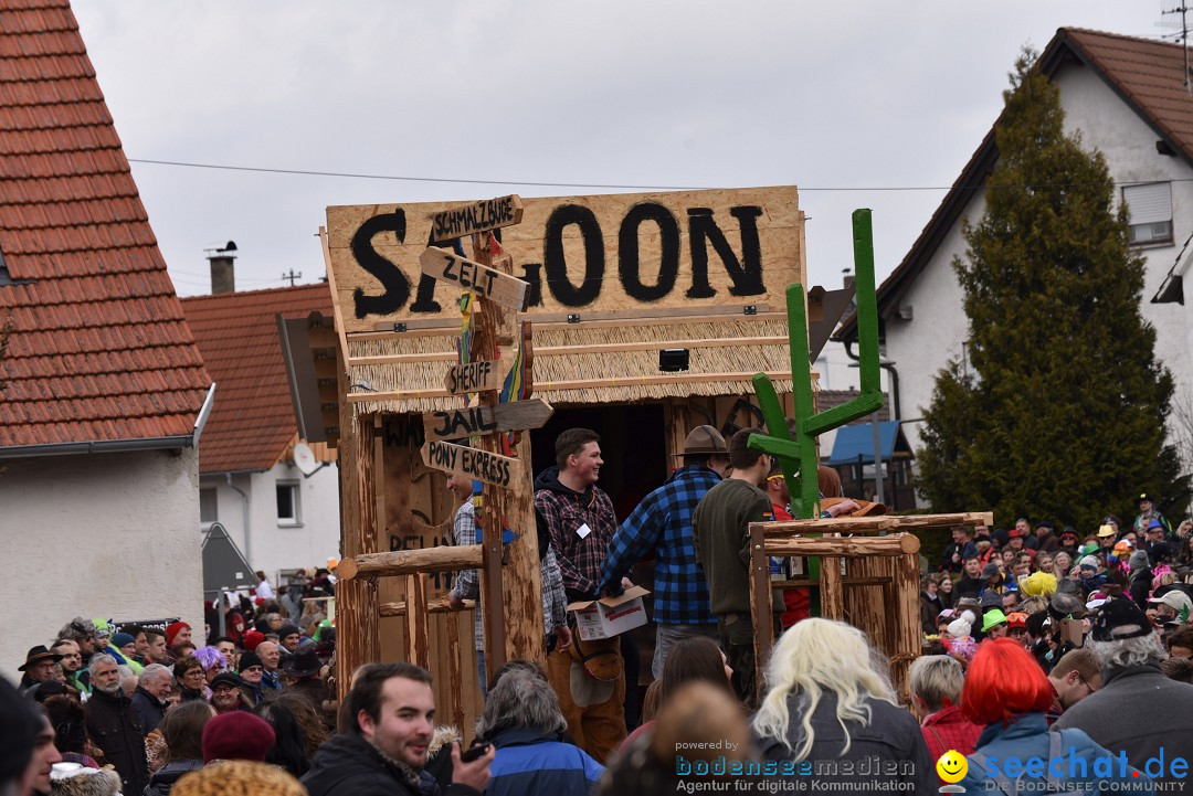 Fasnetsumzug: Zell - Rot an der Rot, 02.03.2019