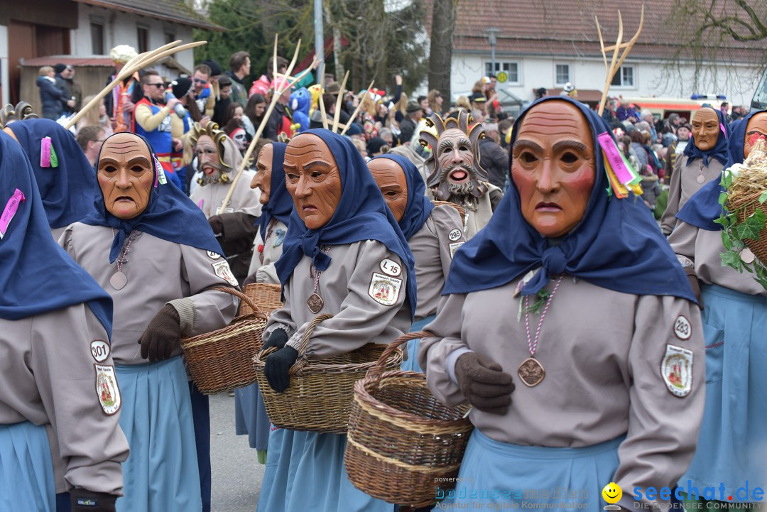 Fasnetsumzug: Zell - Rot an der Rot, 02.03.2019