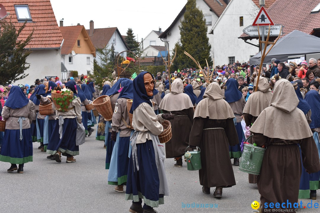 Fasnetsumzug: Zell - Rot an der Rot, 02.03.2019